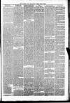 Irvine Times Saturday 25 October 1879 Page 3