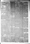 Irvine Times Saturday 22 January 1881 Page 5