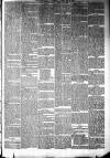 Irvine Times Saturday 21 May 1881 Page 5