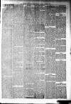 Irvine Times Saturday 19 November 1881 Page 5