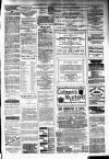 Irvine Times Saturday 26 November 1881 Page 7