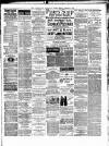 Irvine Times Friday 01 January 1886 Page 7