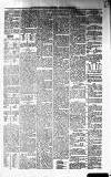 Galloway News and Kirkcudbrightshire Advertiser Friday 24 January 1879 Page 5