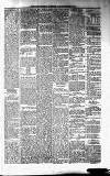 Galloway News and Kirkcudbrightshire Advertiser Friday 14 February 1879 Page 5