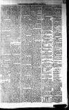 Galloway News and Kirkcudbrightshire Advertiser Friday 31 October 1879 Page 5