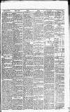 Galloway News and Kirkcudbrightshire Advertiser Friday 05 November 1880 Page 7