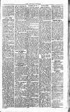 Somerset Standard Friday 27 June 1919 Page 5