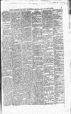 North British Daily Mail Saturday 23 December 1848 Page 5