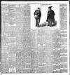 North British Daily Mail Friday 31 May 1901 Page 3