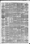 Hawick Express Saturday 06 May 1876 Page 3