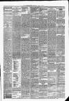 Hawick Express Saturday 17 June 1876 Page 3