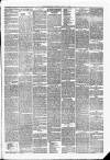 Hawick Express Saturday 24 June 1876 Page 3
