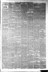 Hawick Express Saturday 15 November 1879 Page 3