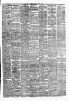 Hawick Express Saturday 08 January 1881 Page 3