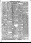 Musselburgh News Friday 02 March 1894 Page 5