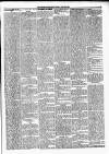 Musselburgh News Friday 22 July 1904 Page 5