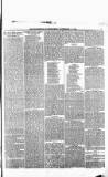 Renfrewshire Independent Saturday 05 September 1874 Page 5