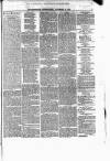 Renfrewshire Independent Saturday 07 November 1874 Page 5