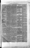 Renfrewshire Independent Saturday 10 March 1877 Page 3