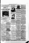 Renfrewshire Independent Saturday 17 March 1877 Page 7