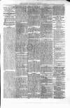 Renfrewshire Independent Saturday 24 March 1877 Page 5