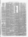 Renfrewshire Independent Saturday 22 March 1879 Page 3