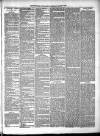 Renfrewshire Independent Saturday 24 March 1883 Page 3