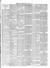 Renfrewshire Independent Friday 10 April 1891 Page 3