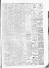 Alloa Journal Saturday 11 January 1868 Page 3