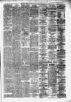 Alloa Journal Saturday 31 July 1875 Page 3