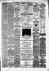 Alloa Journal Saturday 05 May 1877 Page 3