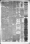 Alloa Journal Saturday 30 June 1877 Page 3