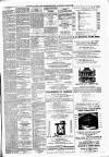 Alloa Journal Saturday 27 April 1878 Page 3