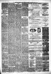Alloa Journal Saturday 16 July 1881 Page 3