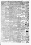 Alloa Journal Saturday 24 March 1883 Page 3