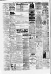 Alloa Journal Saturday 31 March 1883 Page 4