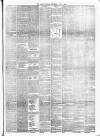 Alloa Journal Saturday 08 July 1893 Page 3