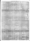 Alloa Journal Saturday 22 July 1893 Page 3