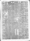 Alloa Journal Saturday 14 April 1900 Page 3