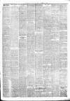 Alloa Journal Saturday 23 March 1907 Page 3