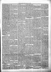 East of Fife Record Friday 15 February 1895 Page 3