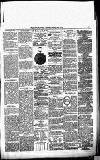 Blairgowrie Advertiser Saturday 25 January 1879 Page 3