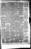 Blairgowrie Advertiser Saturday 24 January 1880 Page 5