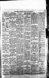 Blairgowrie Advertiser Saturday 31 January 1880 Page 5
