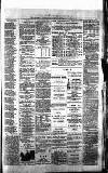 Blairgowrie Advertiser Saturday 14 February 1880 Page 3