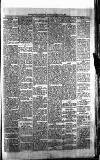 Blairgowrie Advertiser Saturday 14 February 1880 Page 5