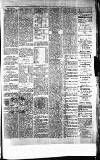 Blairgowrie Advertiser Saturday 21 February 1880 Page 7