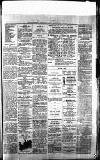 Blairgowrie Advertiser Saturday 28 February 1880 Page 3