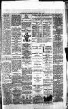 Blairgowrie Advertiser Saturday 01 May 1880 Page 3