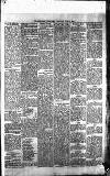 Blairgowrie Advertiser Saturday 12 June 1880 Page 5